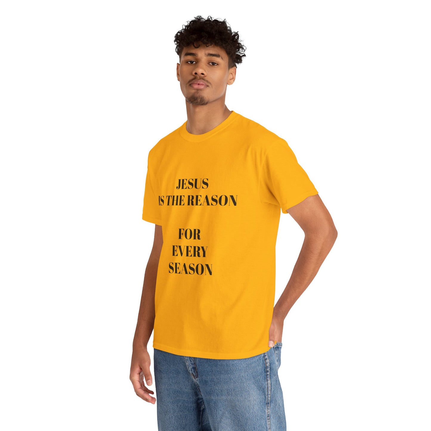 "Jesus Is the Reason for Every Season" | Hebrews 13:8 Faith Tee