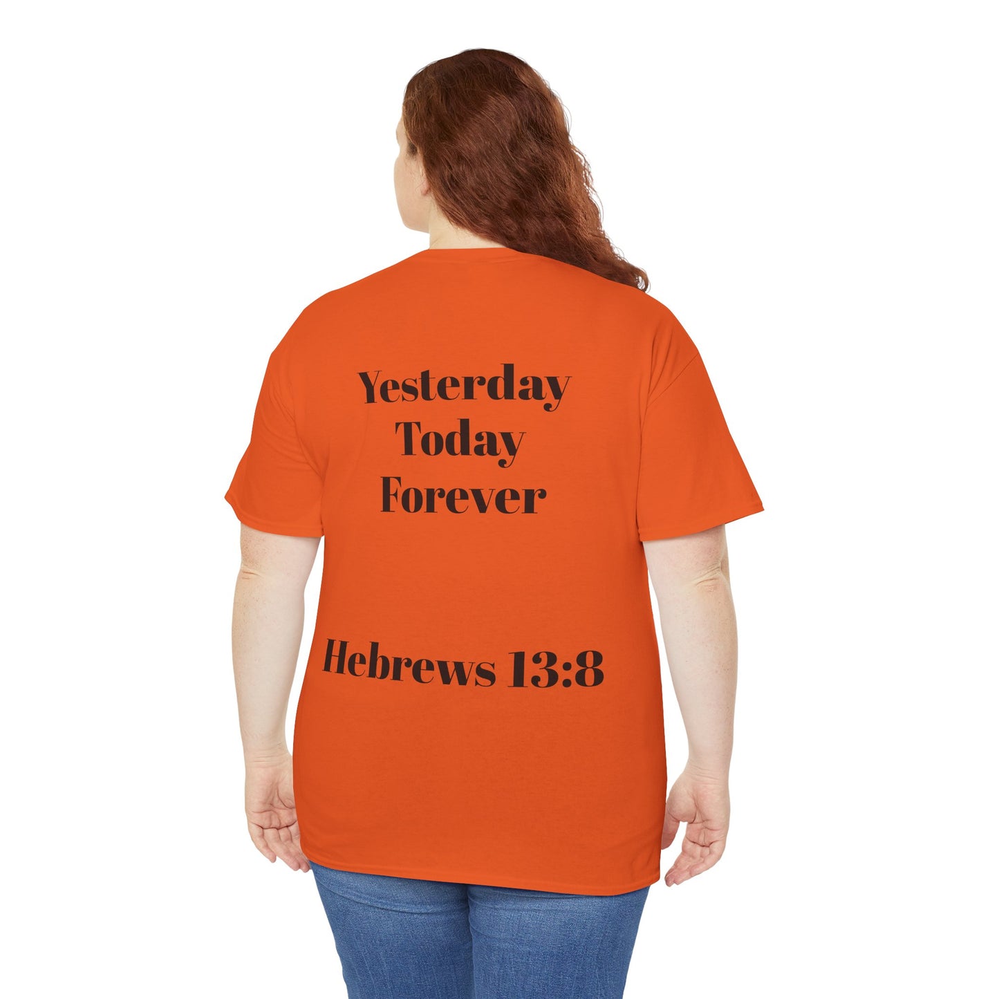 "Jesus Is the Reason for Every Season" | Hebrews 13:8 Faith Tee