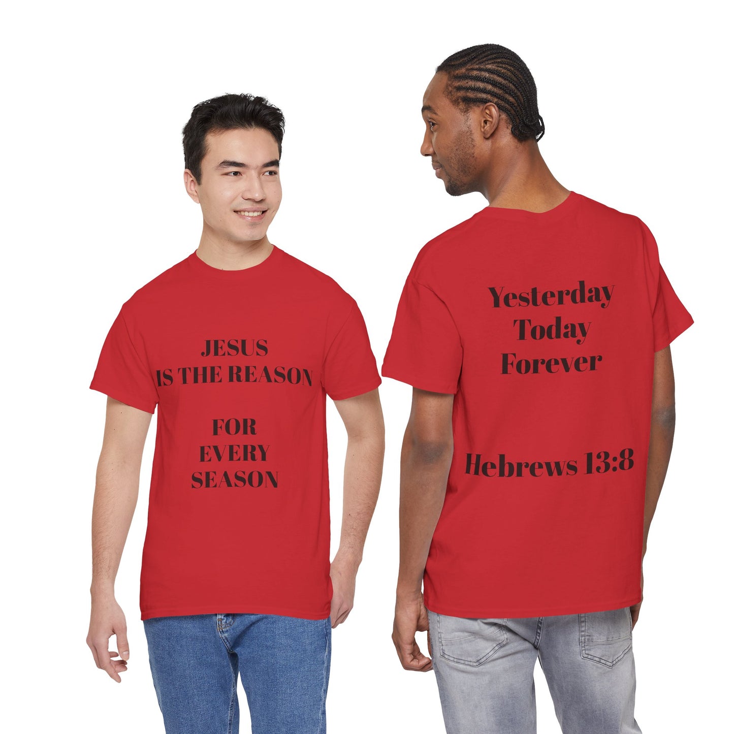 "Jesus Is the Reason for Every Season" | Hebrews 13:8 Faith Tee